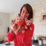 Reviews moonlit majesty sphynx reviews