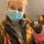 Reviews moonlit majesty sphynx reviews (2)