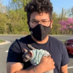 Reviews moonlit majesty sphynx reviews (4)