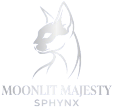 tica registered sphynx cat breeder removebg preview