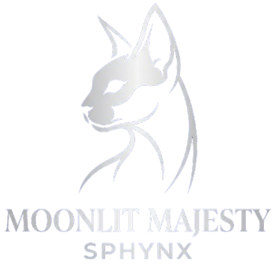 tica registered sphynx cat breeder removebg preview